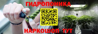 гидропоника Краснокаменск