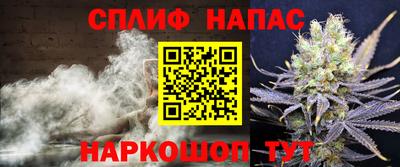 стафф Краснознаменск
